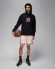 AIR JORDAN SWEATS DRI-FIT SPORT HOODIE