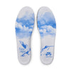 NIKE SB DUNK LOW PRO NICOLE HAUSE